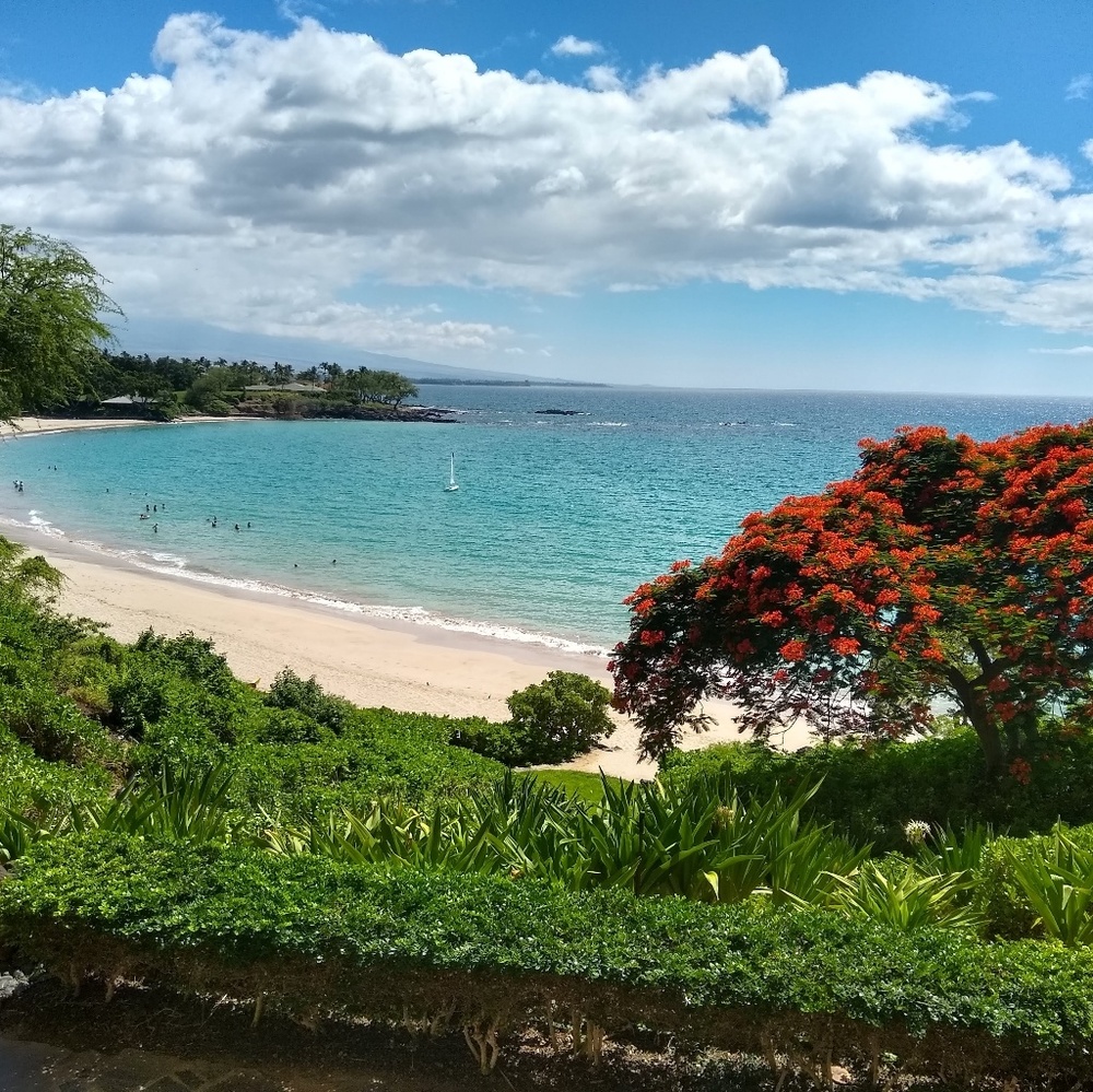 Meet your Posher, Lucy